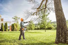  Winnebago, MN Tree Services Pros